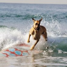 Sansone in azione nel film Sansone