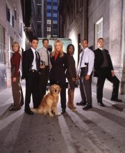 La locandina di Agente speciale Sue Thomas