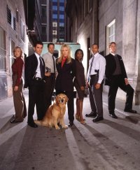 Locandina di Agente speciale Sue Thomas