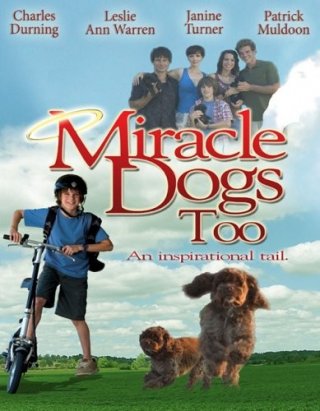 La locandina di I cani dei miracoli 2