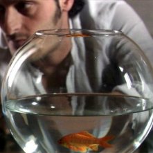 Fabio Troiano in Goodbye Mr.Zeus!