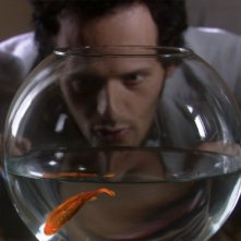 Un'immagine della commedia Goodbye Mr.Zeus! con Fabio Troiano