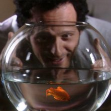 Un'immagine di Fabio Troiano tratta dalla commedia Goodbye Mr.Zeus!