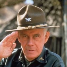 Harry Morgan nelle vesti del Comandante Potter