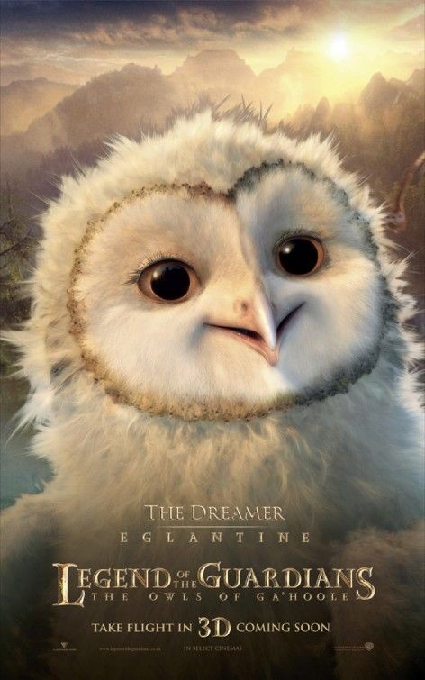 Character Poster Per Legend Of The Guardians The Dreamer 168421
