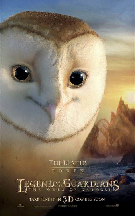 Character Poster Per Legend Of The Guardians The Leader 168422