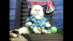 Cani & gatti: La vendetta di Kitty Galore 3D - Intervista a Mr. Tinkles