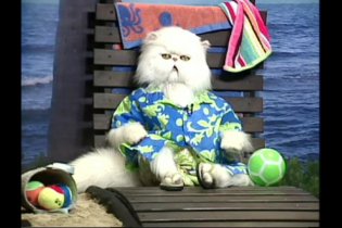 Cani & gatti: La vendetta di Kitty Galore 3D - Intervista a Mr. Tinkles