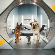 Diggs e Butch in un'immagine del film Cats & Dogs: The Revenge of Kitty Galore