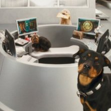 I protagonisti a quattro zampe di Cats & Dogs: The Revenge of Kitty Galore