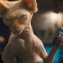 La protagonista della commedia Cats & Dogs: The Revenge of Kitty Galore