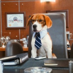 Lou, il cane intellettuale della commedia Cats & Dogs: The Revenge of Kitty Galore