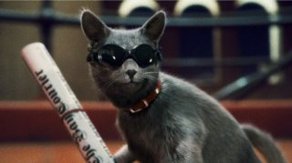 Primo piano di Catherine dal film Cats & Dogs: The Revenge of Kitty Galore