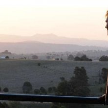 Un momento del film The Tree (2010)