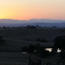 Una suggestiva immagine del film The Tree (2010)