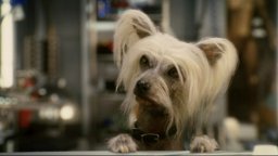 Cani & gatti: La vendetta di Kitty Galore 3D - Trailer Italiano