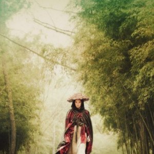 Kelly Lin in una scena del film Reign of Assassins