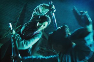 Michelle Yeoh in una sequenza di Reign of Assassins