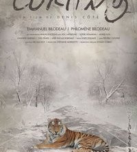 La locandina di Curling