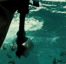 Uno scatto del film Piranha 3D di Alexandre Aja