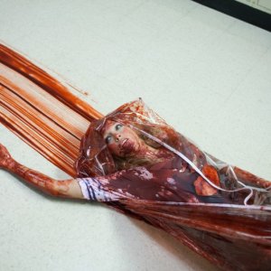 Katie Cassidy, vittima del terribile Freddy nel remake di Nightmare