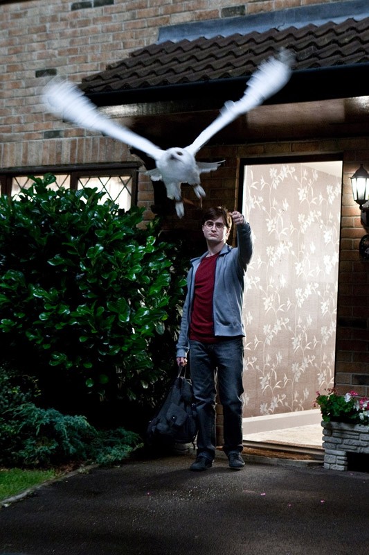 Daniel Radcliffe Fa Volare Edvige In Una Scena Del Film Harry Potter E I Doni Della Morte Parte 1 172069