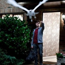 Daniel Radcliffe fa volare Edvige in una scena del film Harry Potter e i doni della morte - parte 1