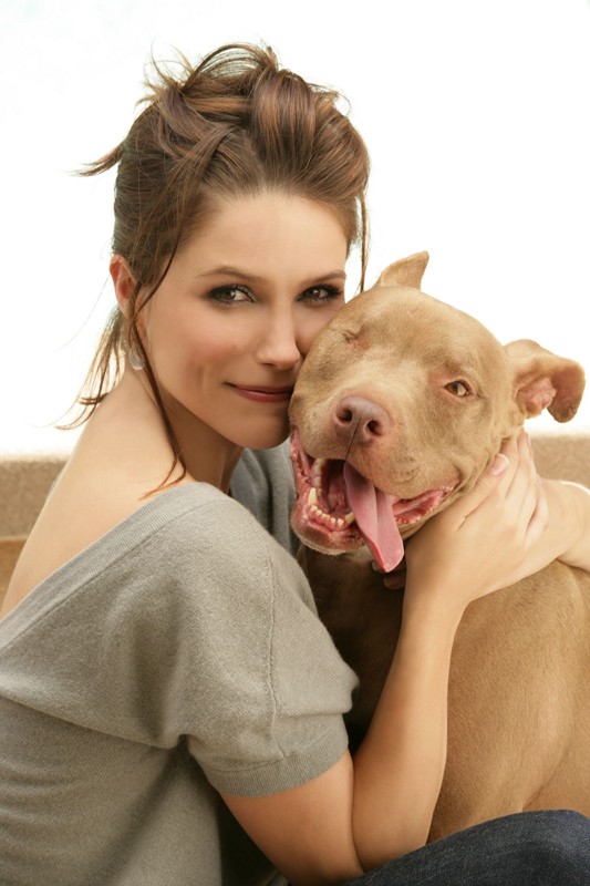 Sophia Bush Posa Con Un Cane Per Una Foto Promo 172083