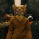Il DVD di Fantastic Mr. Fox