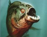 Piranha 3D, sequel in arrivo