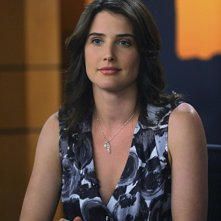 Cobie Smulders in una scena dell'episodio Zoo or False di How I Met Your Mother