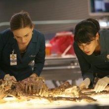 Emily Deschanel e Tamara Taylor nell'episodio The Boy with the Answer di Bones