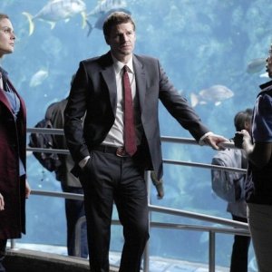 Emily Deschanel, Tembi Locke e David Boreanaz nell'episodio The Predator in the Pool di Bones