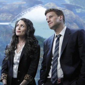 La guest star Rena Sofer e David Boreanaz nell'episodio The Predator in the Pool di Bones