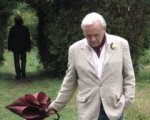 Quella sera dorata nei cinema