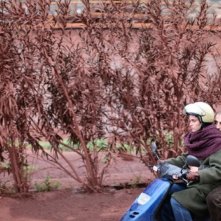 Una sequenza di Attenberg, della regista Athina Rachel Tsangari