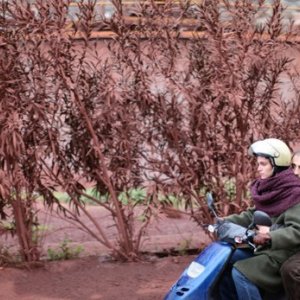 Una sequenza di Attenberg, della regista Athina Rachel Tsangari