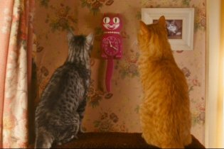 Cani & gatti: La vendetta di Kitty Galore 3D - Clip 'What's Up With You Guys'