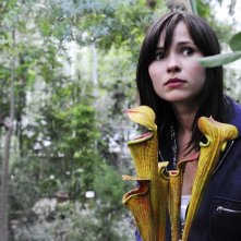 Anna Fischer in un'immagine del film Groupies bleiben nicht zum Frühstück