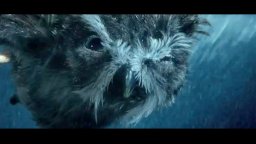 Il regno di Ga'Hoole: la leggenda dei guardiani - Clip 'Use Your Gizzard'