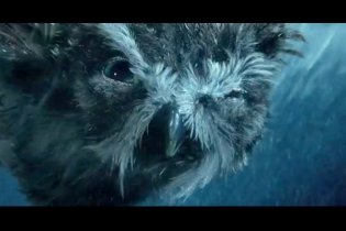 Il regno di Ga'Hoole: la leggenda dei guardiani - Clip 'Use Your Gizzard'