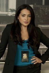 Natalie Martinez è il Detective Ariana Sanchez nella serie Detroit 1-8-7