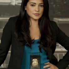 Natalie Martinez è il Detective Ariana Sanchez nella serie Detroit 1-8-7