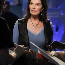 Sela Ward nell'episodio Damned If You Do di CSI New York