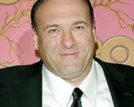 James Gandolfini in Great Hope Springs
