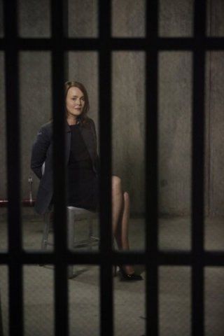 Laura Innes nell'episodio To Keep Us Safe di The Event