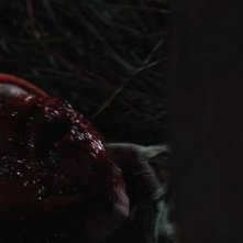 Un irriconoscibile David Foy nell'horror Hatchet 2