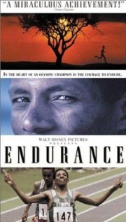 La locandina di Endurance