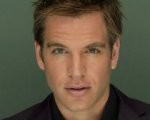Michael Weatherly coinvolto in un incidente stradale