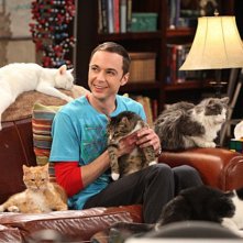 Jim Parsons Nell Episodio The Zazzy Substitution Di The Big Bang Theory 177822